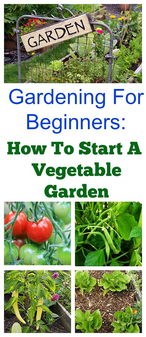 (i break this rule for flowers. How To Start a Spring Vegetable Garden