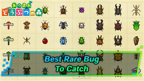 Animal Crossing New Horizons Bug List
