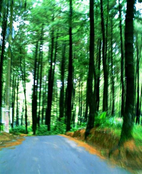 10 Tempat Wisata di Sentul yang Harus Dikunjungi