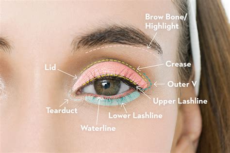 How to apply eyeshadow the right way 67 tutorials easy. Eye Makeup Procedure How To Apply Eyeshadow Best Eye Makeup Tutorial - makeuptu.com
