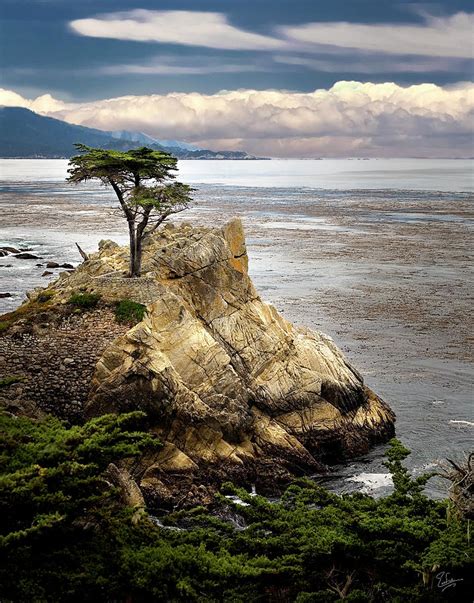 The Lone Cypress At Monterey Bay Photograph By Endre Balogh