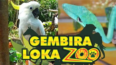 Gembira loka zoo yogyakarta - YouTube