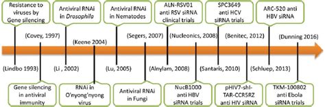 Timeline Summarizing Different Stages In The Course Of Development Of