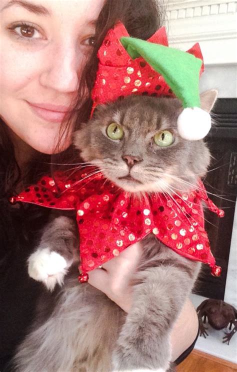 He May Not Have His Own Movie But My Grumpy Cat Hates Christmas Too