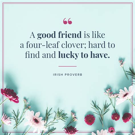A Collection Of Friendship Quotes To Inspire You