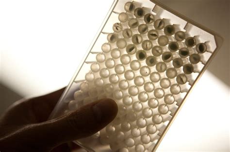 The somatic cells could be used immediately or stored in the laboratory for later use. Plummers Island, Where All The Plants Are Bar-Coded : NPR