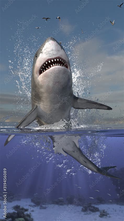 Great White Shark Jumping Out Of Sea Water Half Underwater Scene With