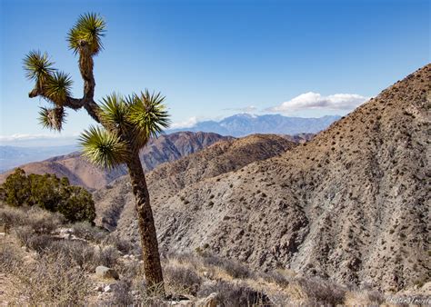 Enjoy the pictures since it might be two more years before we get to see them again. Hiking, Tamales, and a Little Bit of Culture in the ...