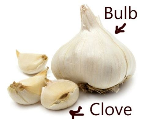 A clove of garlic is one segment of a head of garlic. How much is a clove of garlic in recipes? - Quora