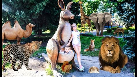 Tłumy gości chciały zobaczyć zwierzaki z chorzowskiego zoo. Ewa and Sonia visit Zoo in Chorzow city in Poland Zoo w ...