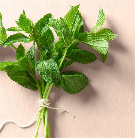 4 Mint Recipes Midwest Living