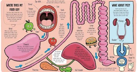 We did not find results for: My Amazing Body: basic biology for preschoolers | Çocuklar ...