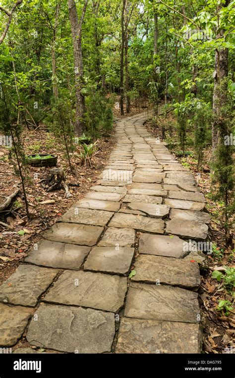 Stone Path Leading To The Forest With Trees Around Stock Photo Alamy