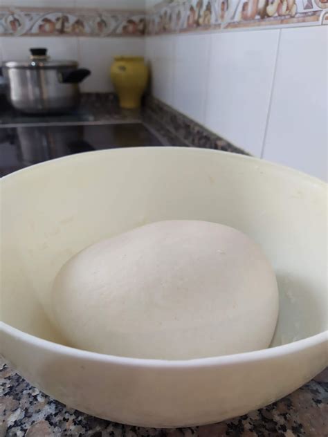 Ravioli Cinesi alla Piastra - Quella Pasticciona di Vero