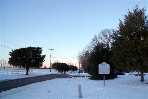 Photo Dogtown Road Facing North