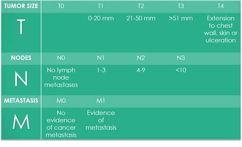 Breast Cancer Classification Breast Cancer Staging Ki
