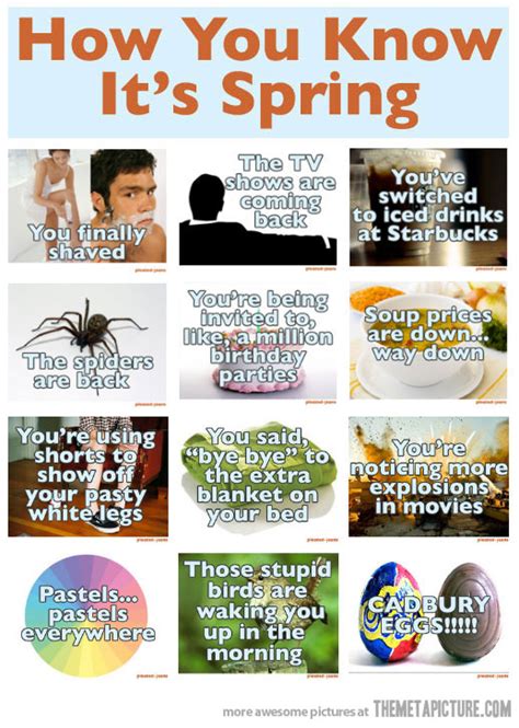 Funny Spring Quotes Quotesgram