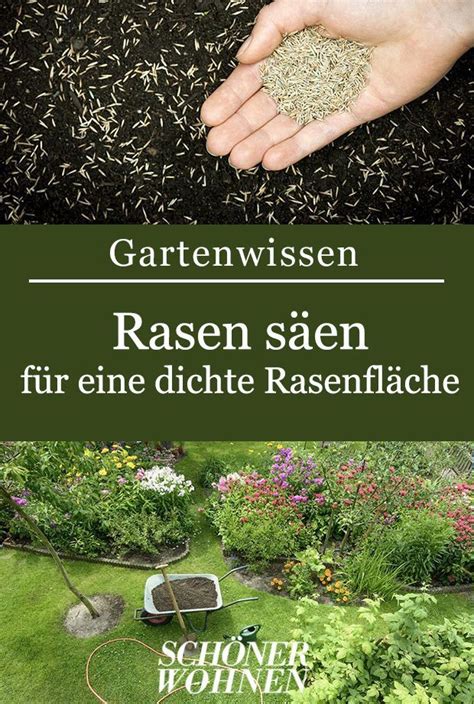 Lassen sie sich in unseren filialen inspirieren. Garten Gras