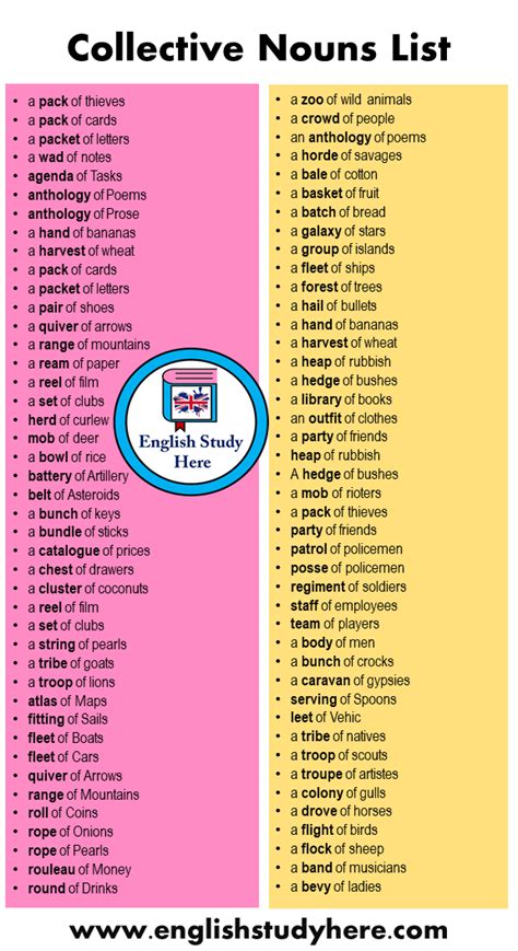 Check out this list of collective nouns for fish. 80 Collective Nouns List in English - English Study Here