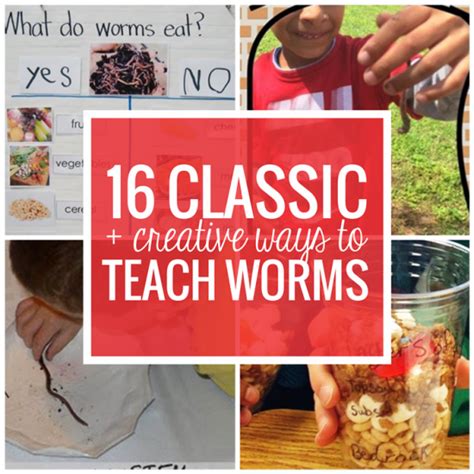 16 Classic And Creative Ways To Teach Worms Teach Junkie