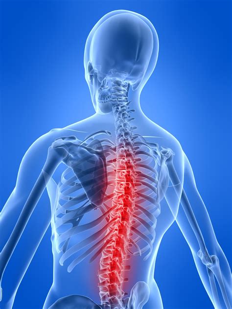 Spinal Cord Injury Repair To Arrive ‘inside A Decade Science Spinning