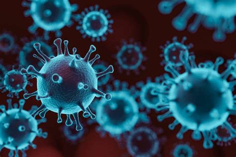 Viral Infection What Is A Viral Infection