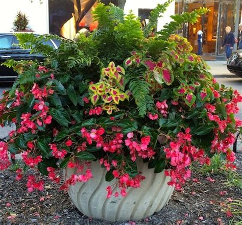 Container Gardening Inspirations Worthy Of Pinning