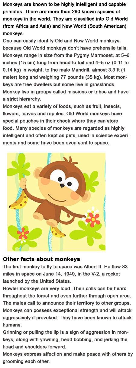 Monkey Facts For Kids Childhood Education