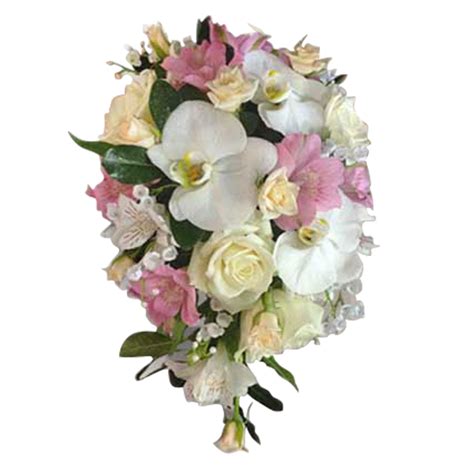 Box 124 greenbrier, ar 72058. Memorial Flowers Springfield Mo : Springfield Botanical ...