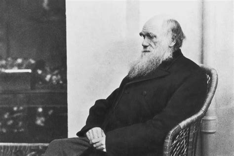 For darwin core archives the related record should be present locally in the same archive. One of Darwin's Evolutionary Theories Has Been Proved By ...