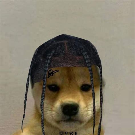 Pin By Nayeli On Perritos Memes Dog Images Dog Icon Dog Memes