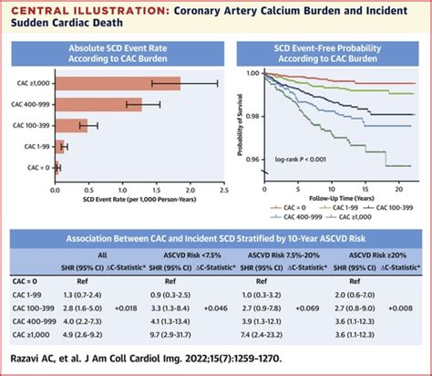 Coronary Artery Calcium For Risk Stratification Of Sudden Cardiac Death