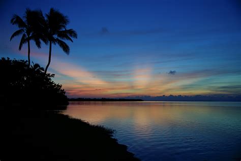 Wallpaper Palms Silhouettes Trees Sea Sunset Dark Hd Widescreen