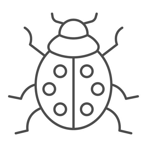 4300 Ladybug Line Stock Illustrations Royalty Free Vector Graphics