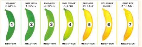 From green to yellow and brown. Improved banana ripening results in 25-33% more sales at ...