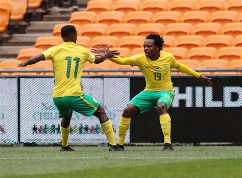 Elf (beverage carrier car) (1). BAFANA REVIVES WORLD CUP HOPES