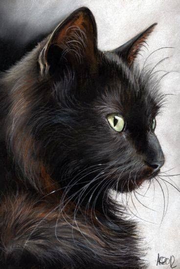 But we wake up from the fact that drawing black cats is no different from drawing simple cats! chat noir - Page 3