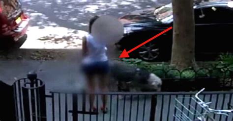 Look What This Hidden Camera Caught Her Doing With Her Dog We Need