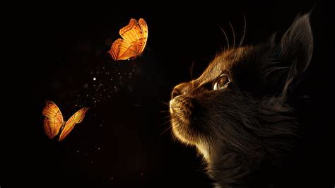 Kitten Cat Butterflies Black Background Glowing Manipulation