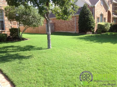 Thousands of companies like you use panjiva to research suppliers and competitors. Bermuda Lawn Care Examples | BR Green