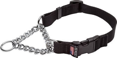 6 Different Types Of Dog Collars Commonly Used For Training German