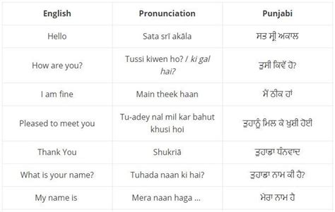 50 Basic Punjabi Words And Phrases — Useful Guide By Ling Learn