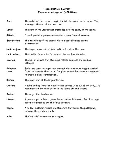 The female reproductive anatomy includes parts inside and outside the body. Reproductive System: Female Anatomy — Definitions