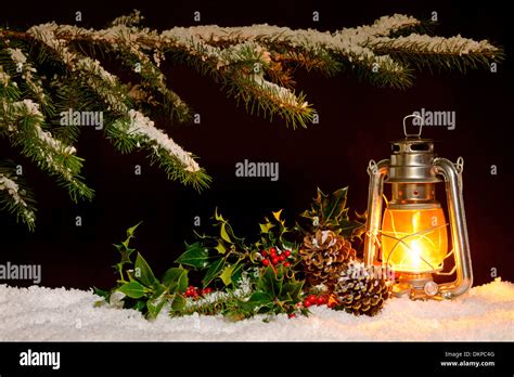 Holly Spruce Hi Res Stock Photography And Images Alamy