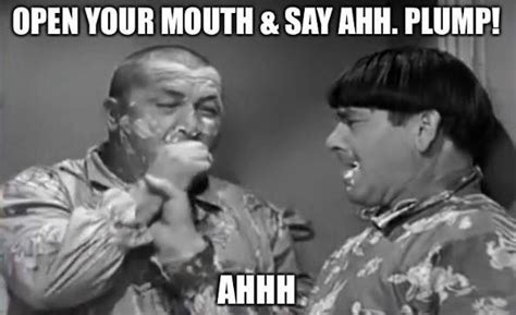 After some mishaps with curly's gold finding invention. From "Cactus Makes Perfect". | The three stooges, Sayings ...