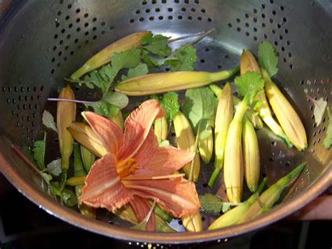 Thanks for another fantastic recipe! Day lily stir-fry recipe | Salon.com