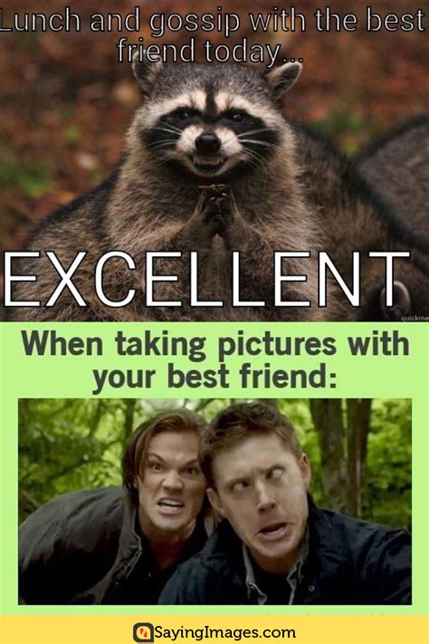 Best Friend Memes To Share With Your Bff Sayingimages Com In