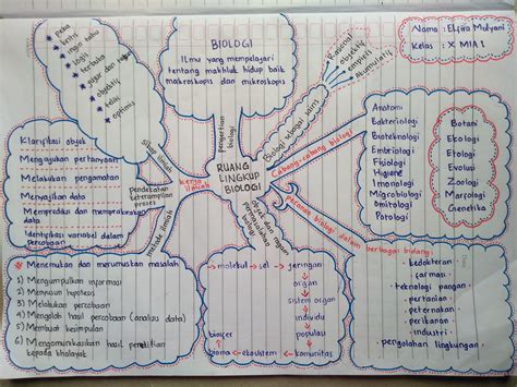 Contoh Rencana Ruang Lingkup Biologi Kelas X Mind Map Dan Peta Konsep Materi Ruang Lingkup