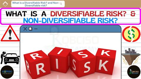 What Is A Diversifiable Risk And What Is Non Diversifiable Risk Af
