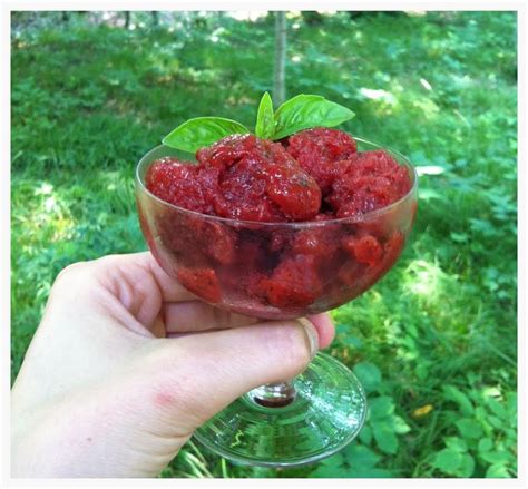 It's great for holidays, birthday's and special occasions. Simple Strawberry Basil Granita | Plant based nutrition ...